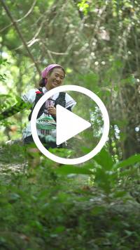 BIB:  <button type="button" onclick="openModal(27939548)" class="btn btn-primary btn-sm float-right" data-toggle="modal" data-target=".modal-high-quality">
                <i class="fa fa-download"></i> Download
                </button>